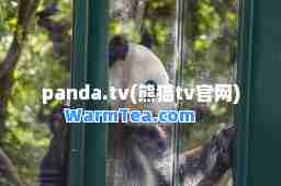 panda网站站点
