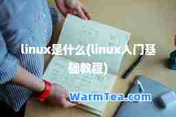 linux是什么(linux入门基础教程)