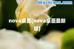 nova桌面(nova桌面版)