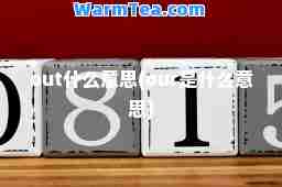 out什么意思(our是什么意思)