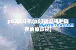 p63战斗机(p63战斗机起降视角原声视)
