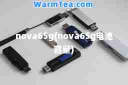 nova65g(nova65g电池容量)