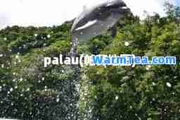 palau(帕劳地图)