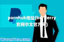 hub地址(burberry官网中文官方网)