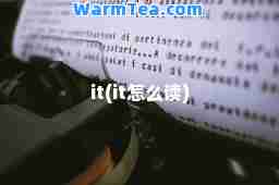 it(it怎么读)