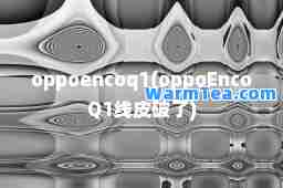 oppoencoq1(oppoEncoQ1线皮破了)