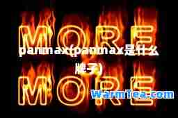 panmax(panmax是什么牌子)