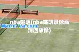 nba姚明(nba姚明录像高清回放像)