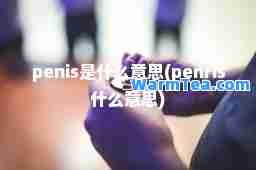 penis是什么意思(penris什么意思)