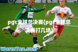 pgc全球总决赛(pgc全球总决赛打几场)