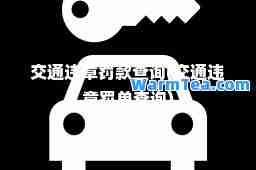 交通违章罚款查询(交通违章罚单查询)