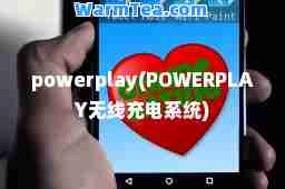 powerplay(POWERPLAY无线充电系统)
