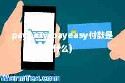 payeasy(payeasy付款是什么)
