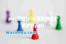 picc置管(picc置管的维护及护理ppt)