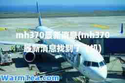 mh370消息(mh370消息找到了飞机)