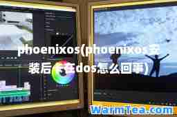 phoenixos(phoenixos安装后卡在dos怎么回事)