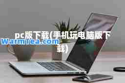 pc版下载(手机玩电脑版下载)