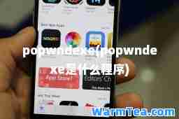 popwndexe(popwndexe是什么程序)