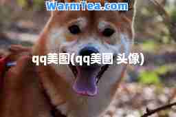 qq美图(qq美图 头像)