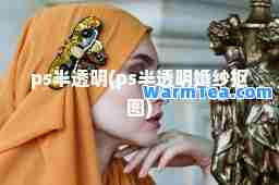 ps半透明(ps半透明婚纱抠图)