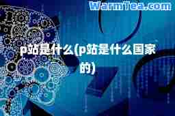 p站是什么(p站是什么国家的)