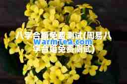 八字婚免费测试(周易八字婚免费测试)