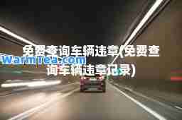 免费查询车辆违章(免费查询车辆违章记录)