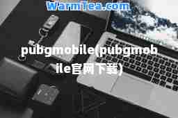 pubgmobile(pubgmobile官网下载)