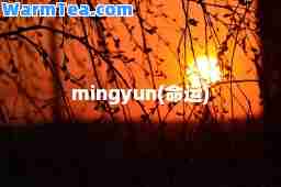 mingyun(运)