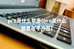 pro是什么意思(pro是什么意思电子产品)