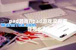 pad游戏(ipad游戏没有声音怎么办)