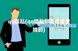 qq隐私(qq隐私聊天在哪里找到)