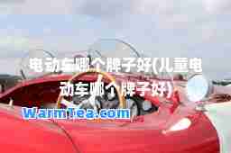 电动车哪个牌子好(儿童电动车哪个牌子好)