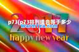p73(p73排列组等于多少)