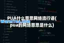 PUA什么意思网络流行语(pua的网络意思是什么)