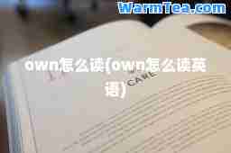own怎么读(own怎么读英语)