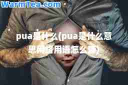 pua是什么(pua是什么意思网络用语怎么读)
