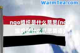 ngo组织是什么意思(ngo组织是什么意思英语)