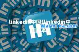 linkedin中国(linkedin中国版本)