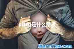 pitch是什么意思