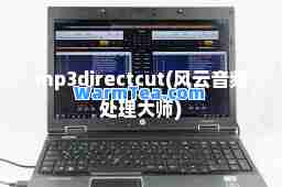 mp3directcut(风云音频处理)