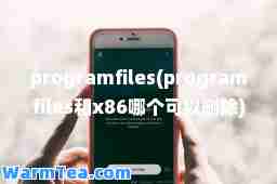 programfiles(programfiles和x86哪个可以删除)