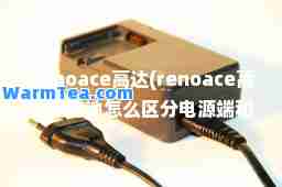 Renoace高达(renoace高达版电池怎么区分电源端和数据端)