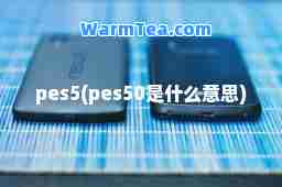 pes5(pes50是什么意思)