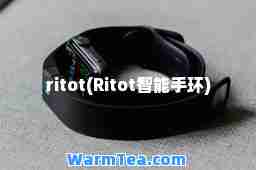 ritot(Ritot智能手环)