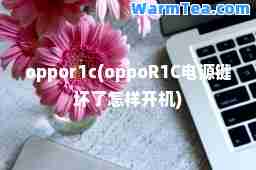 oppor1c(oppoR1C电源键坏了怎样开机)