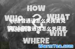 qq语音通话怎么关闭麦克风(qq语音通话怎么关闭麦克风声音)