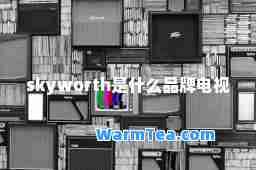 skyworth是什么品牌电视