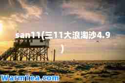 san11(三11大浪淘沙4.9)