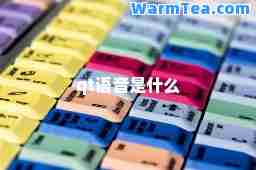 qt语音是什么